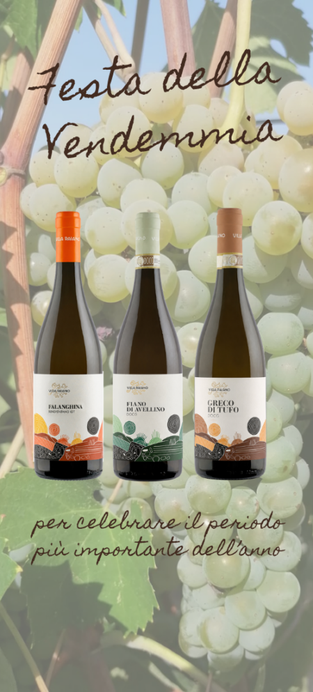 Festa della Vendemmia